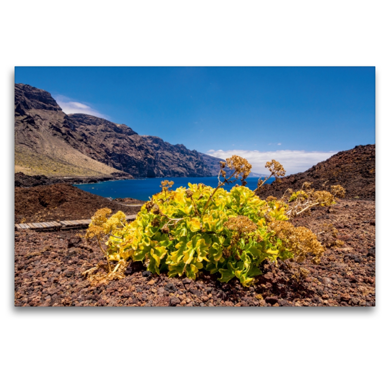 Landschaft auf Teneriffa