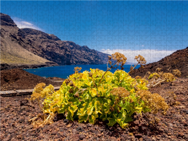 Landschaft auf Teneriffa