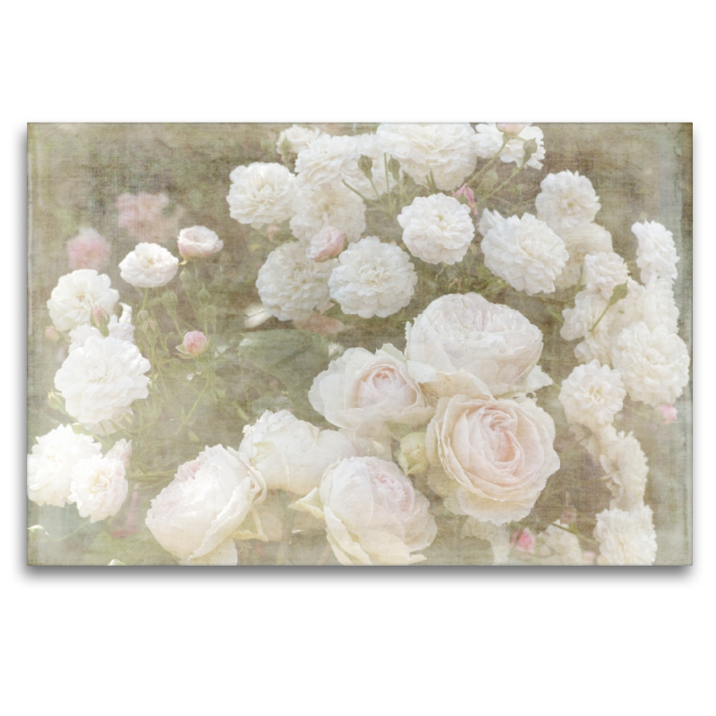 Romantische Rosen - Shabby Chic Style