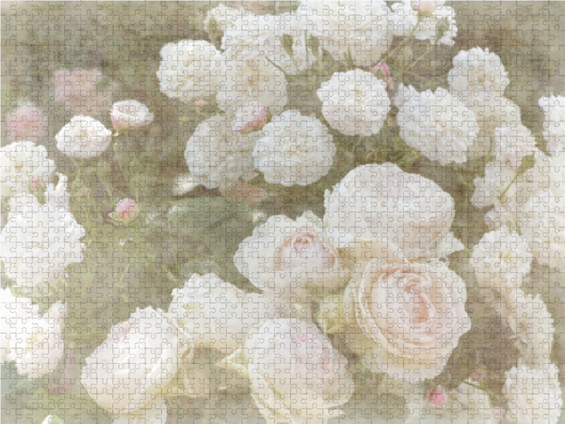 Romantische Rosen - Shabby Chic Style