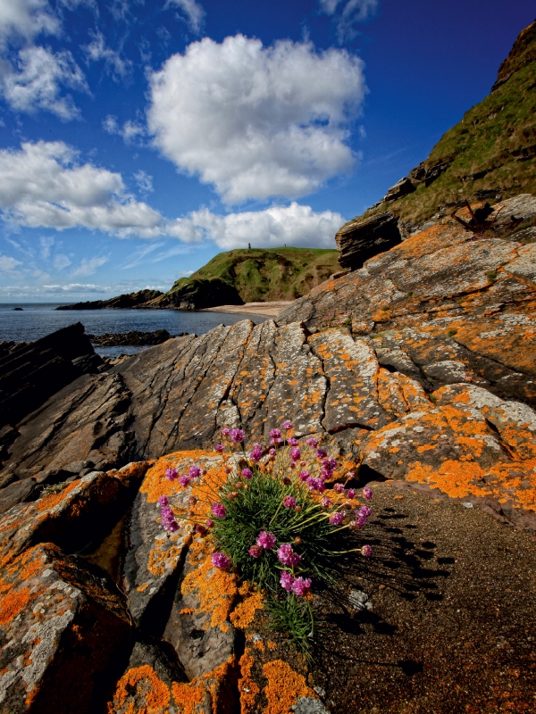 Helmsdale, Sutherland, Schottland