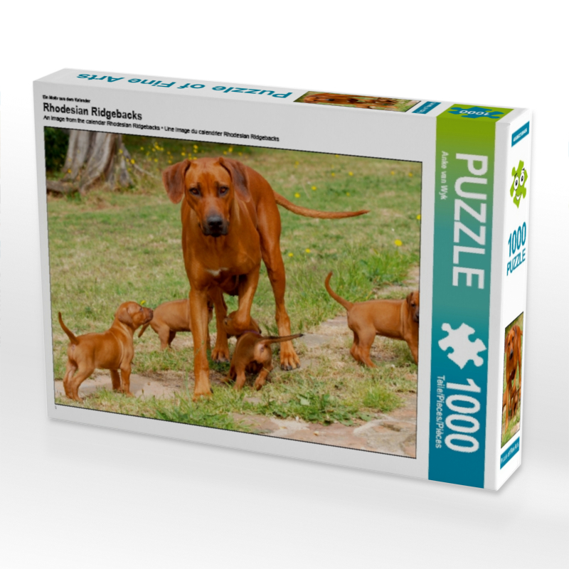 Ein Motiv aus dem Kalender Rhodesian Ridgebacks