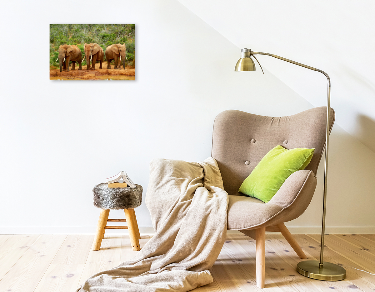 Ein Motiv aus dem Kalender African Elephants in Addo