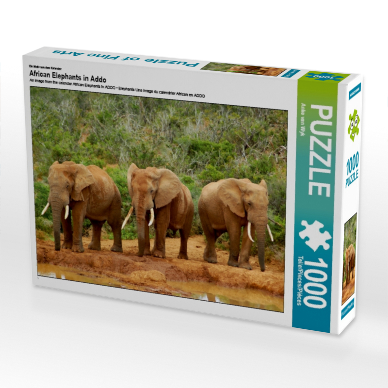 Ein Motiv aus dem Kalender African Elephants in Addo