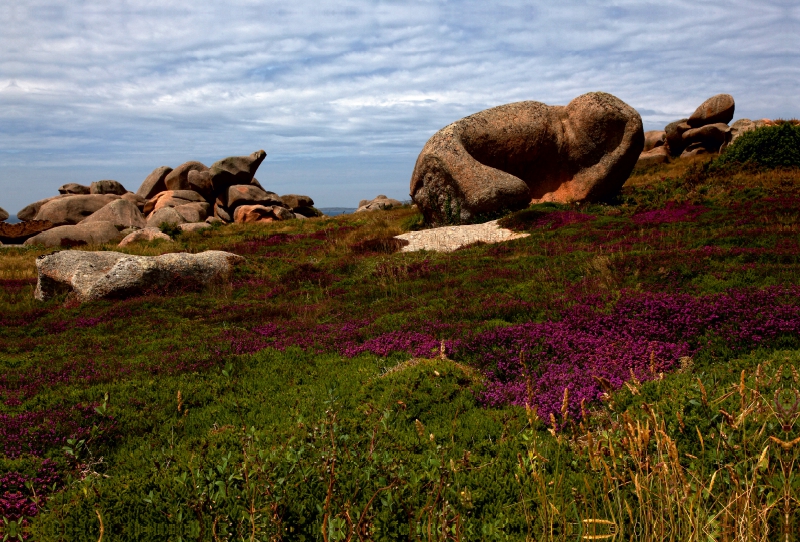 Ploumanach, Bretagne, Frankreich