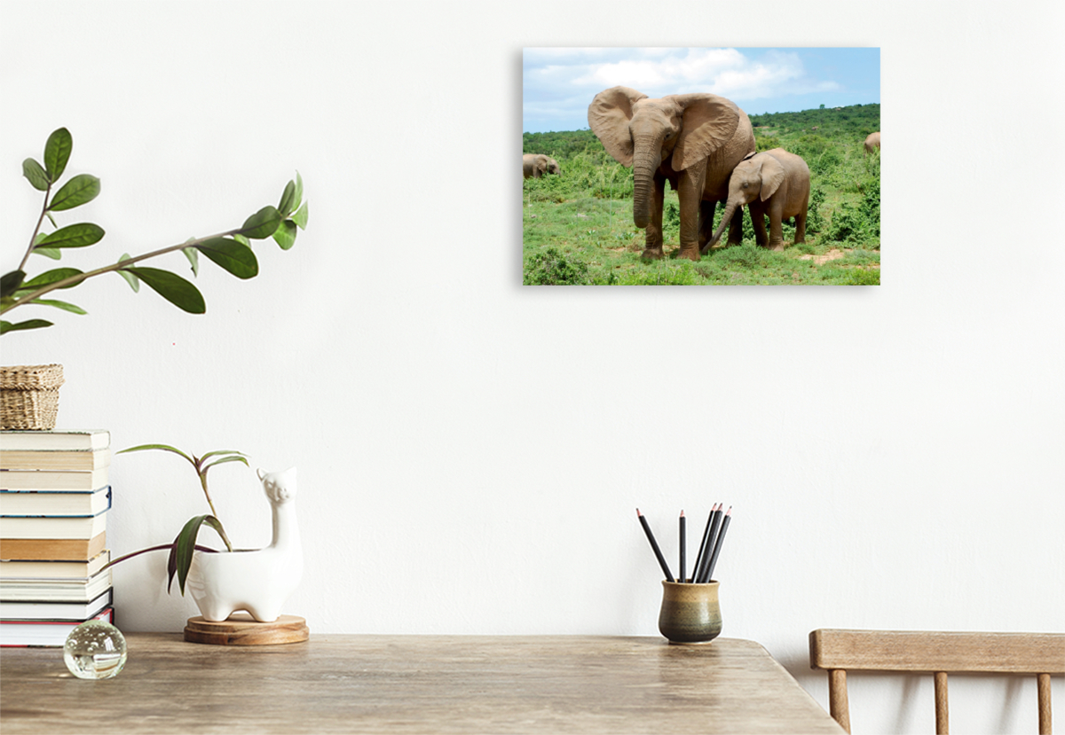 Ein Motiv aus dem Kalender African Elephants in Addo