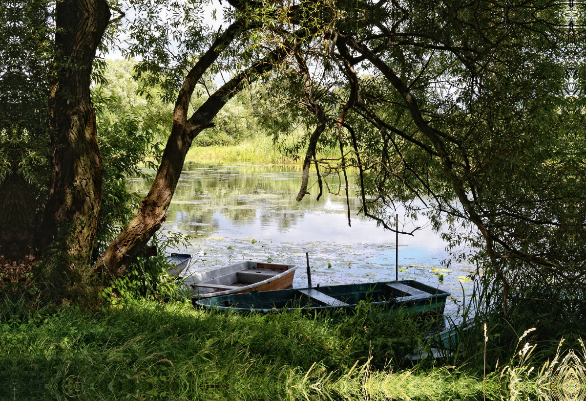 Boote unter einer alten Weide an der Havel