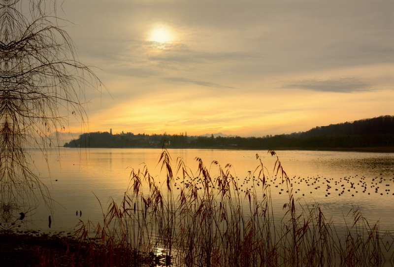 Bodensee