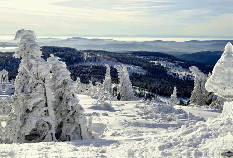 Bayerischer Wald