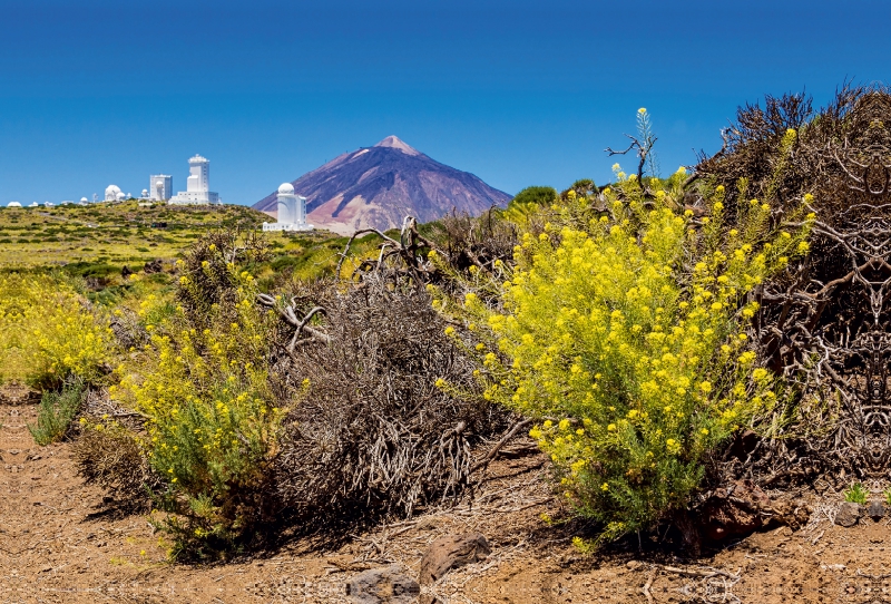 Vulkan Teide auf Teneriffa