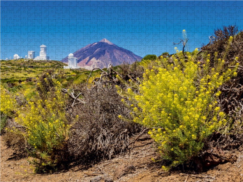 Vulkan Teide auf Teneriffa