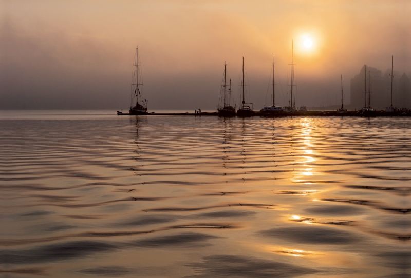 Morgens am Stadthafen in Rostock