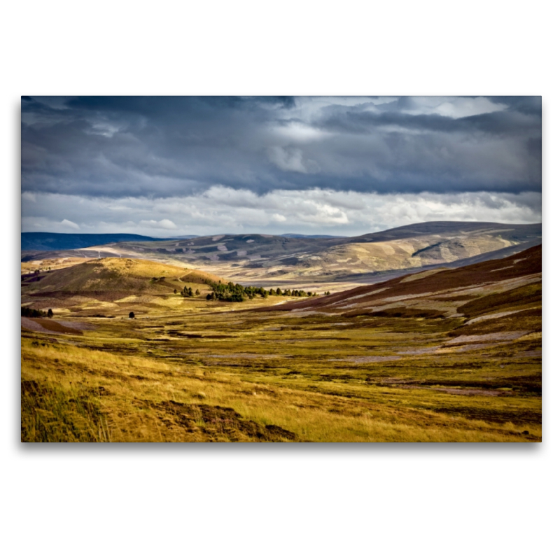 Cairngorm Nationalpark