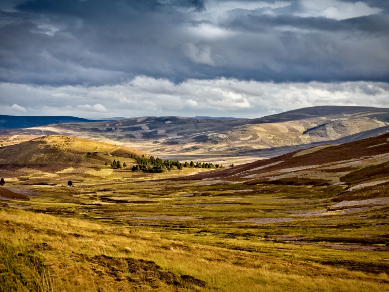 Cairngorm Nationalpark