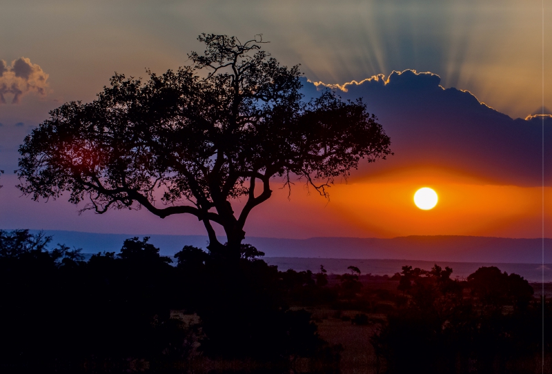 Sonnenuntergang in der Masai Mara in Kenia