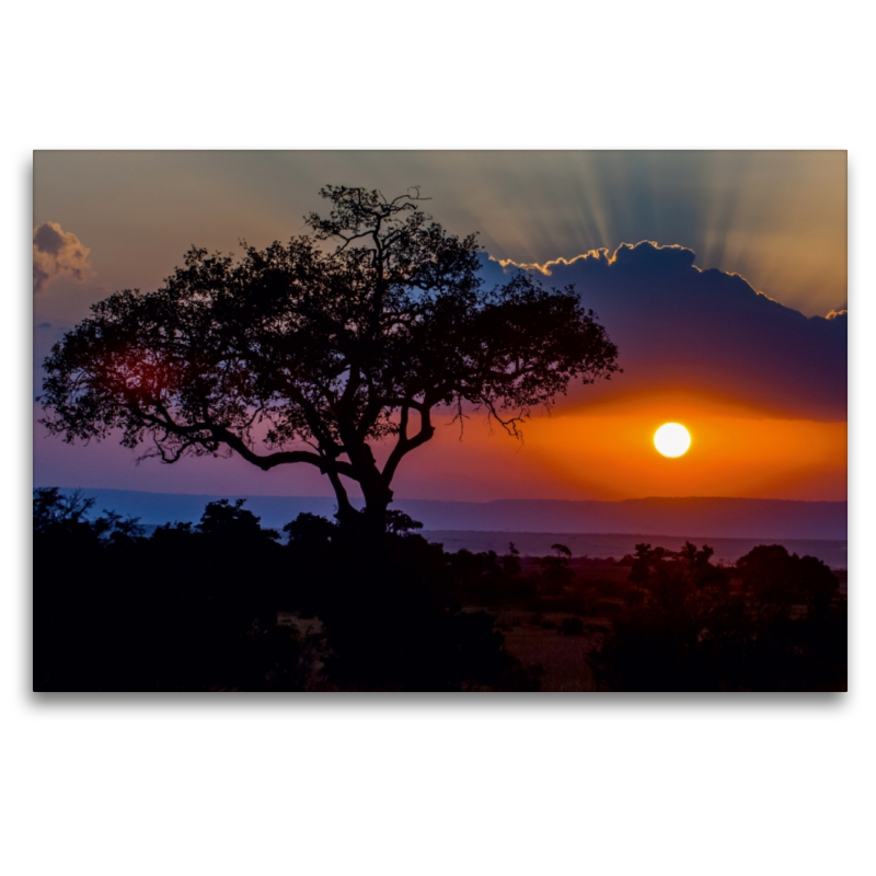 Sonnenuntergang in der Masai Mara in Kenia