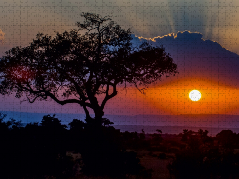 Sonnenuntergang in der Masai Mara in Kenia