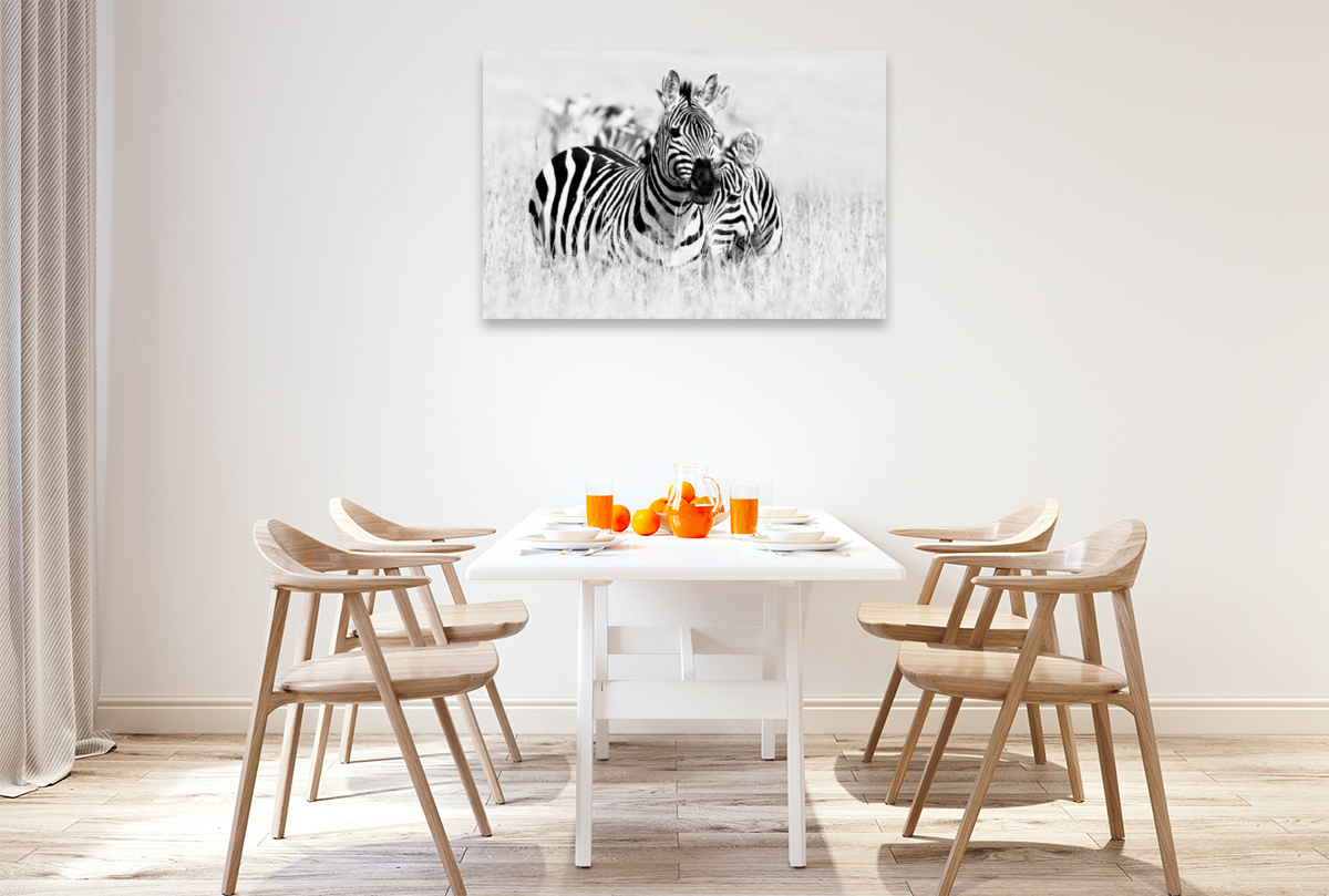 Ein Motiv aus dem Kalender Emotionale Momente: Zebras - black and white.