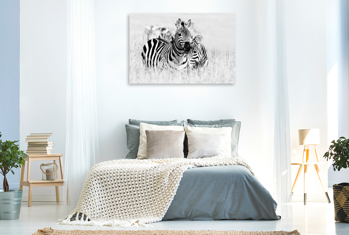 Ein Motiv aus dem Kalender Emotionale Momente: Zebras - black and white.