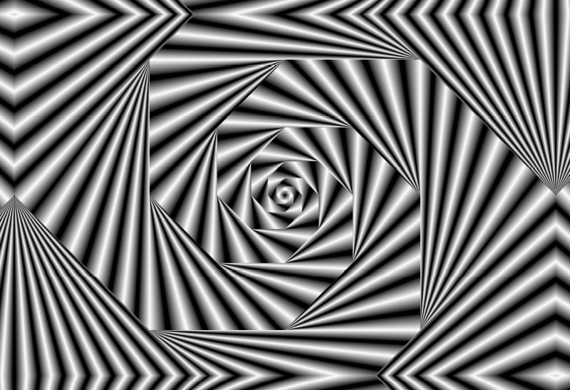 Zebra-Illusion