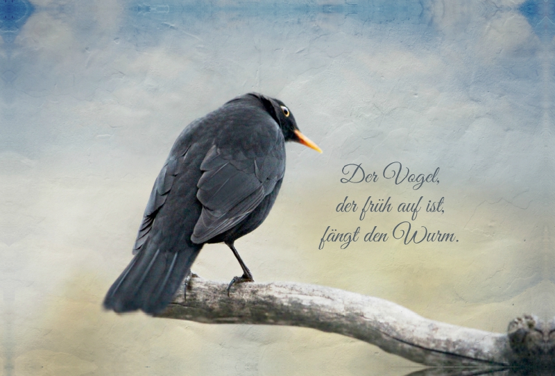 Der frühe Vogel fängt den Wurm