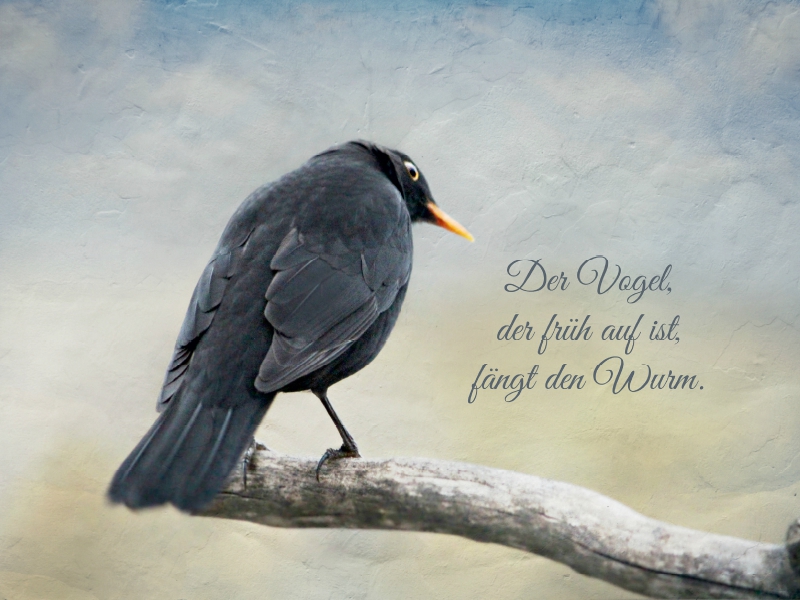 Der frühe Vogel fängt den Wurm