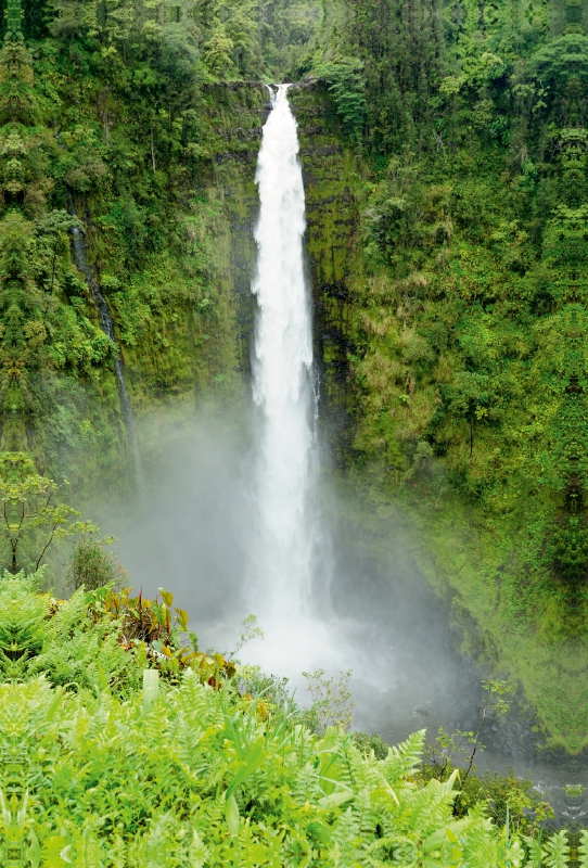 Akaka Falls, Kauai