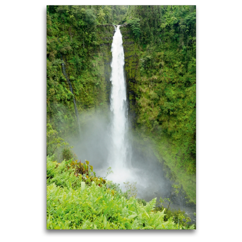 Akaka Falls, Kauai