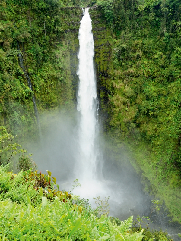 Akaka Falls, Kauai