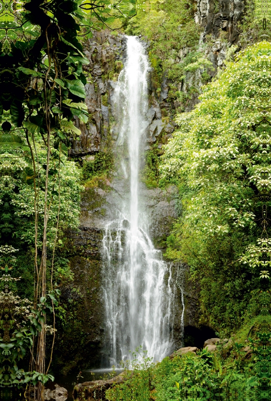 Wasserfall - Hawaii