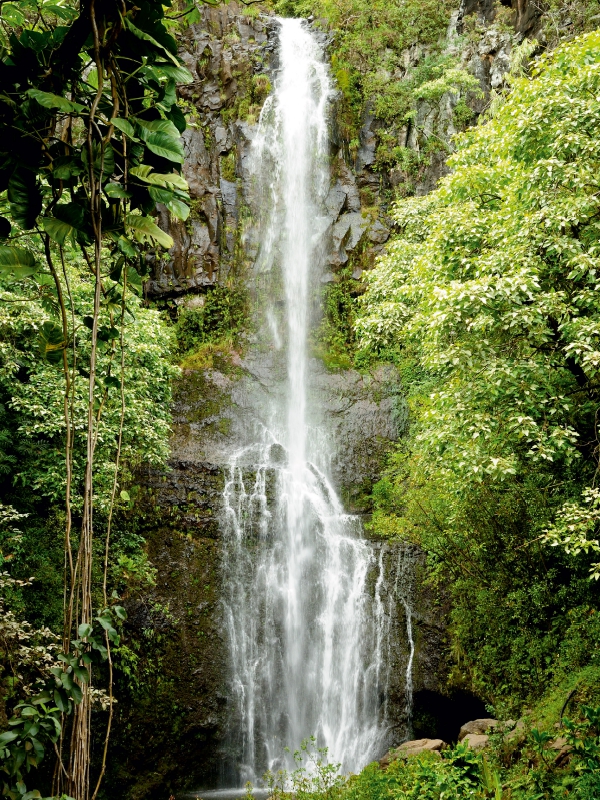 Wasserfall - Hawaii