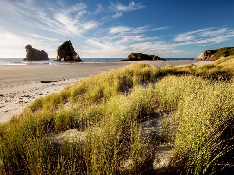 Wharariki Beach - Südinsel