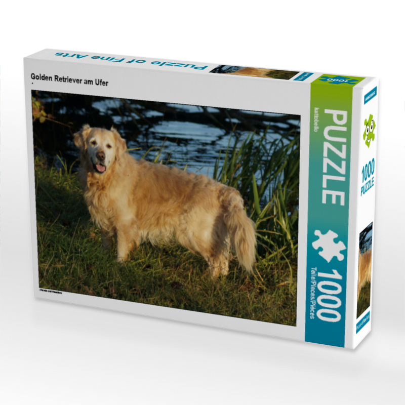 Golden Retriever am Ufer