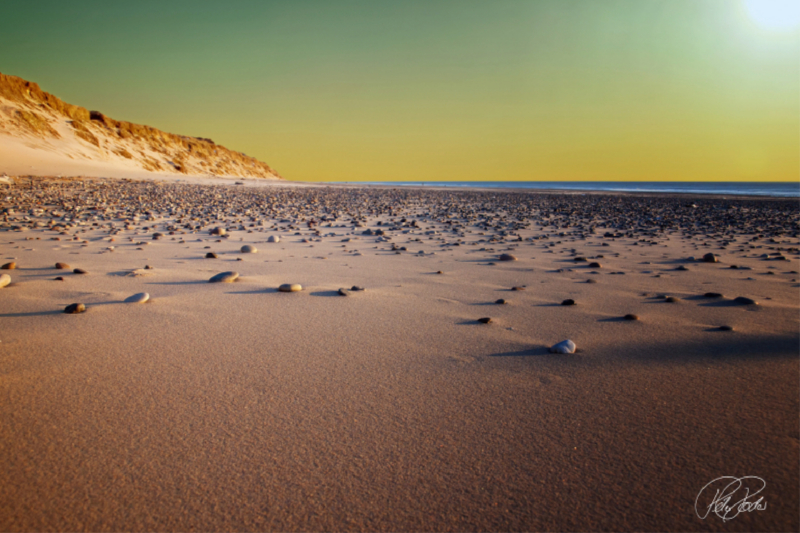 Dünen an der Nordsee