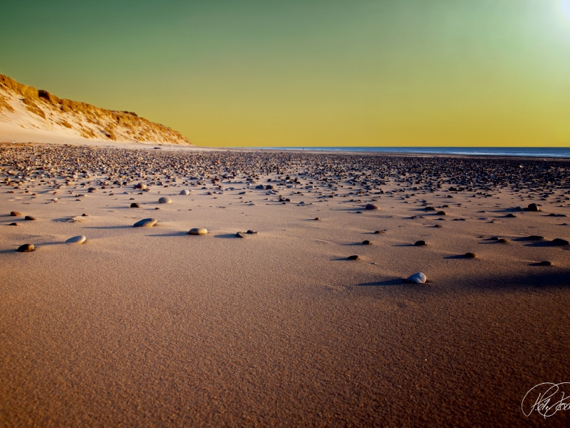 Dünen an der Nordsee