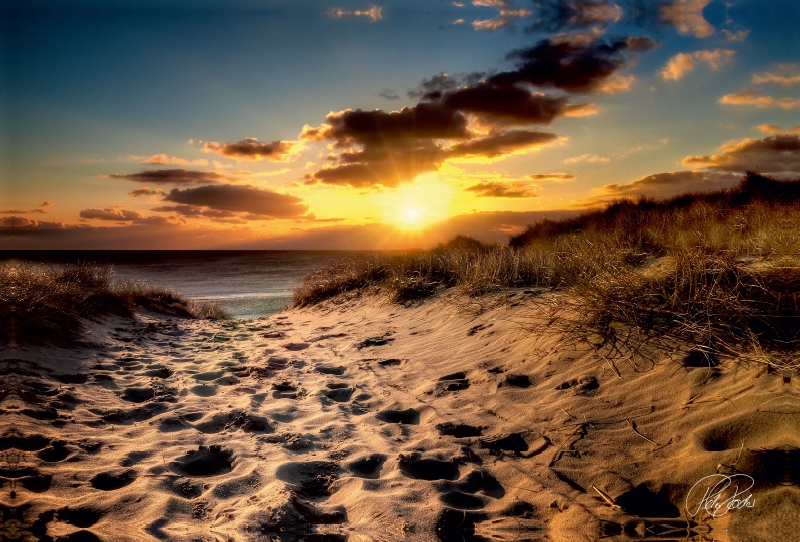 Dünen an der Nordsee