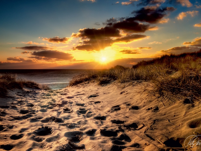 Dünen an der Nordsee