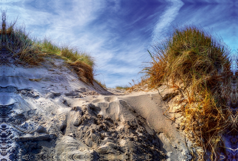 Nordsee-Dünen