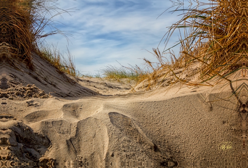 Nordsee-Dünen