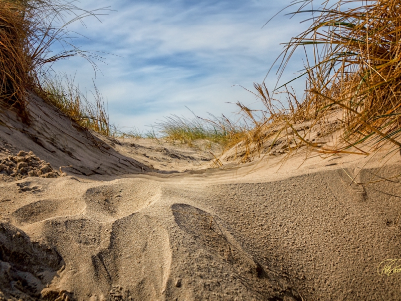 Nordsee-Dünen