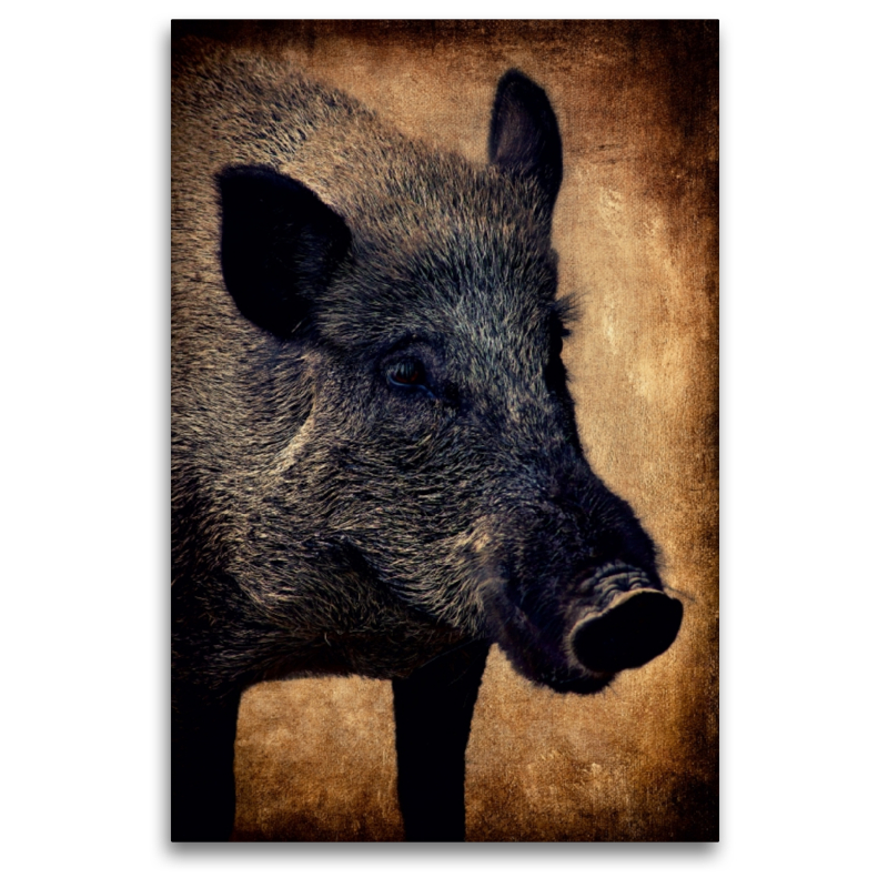 Wildschwein