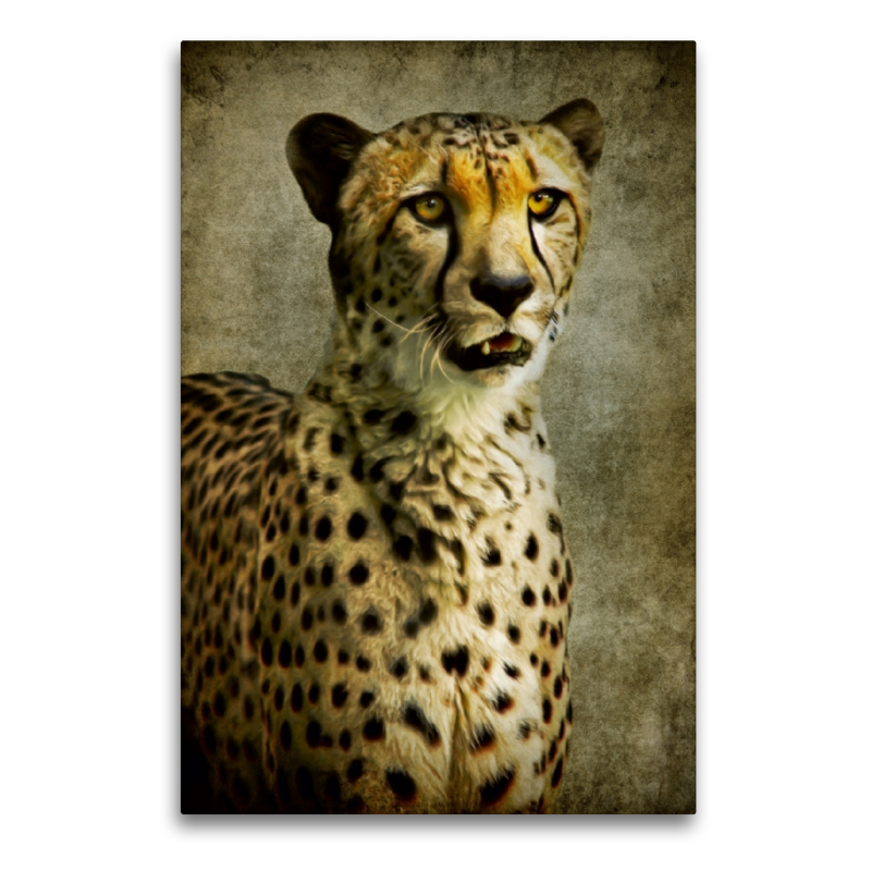 Gepard