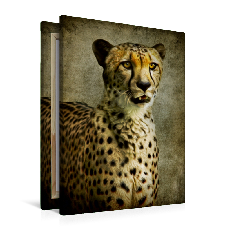 Gepard