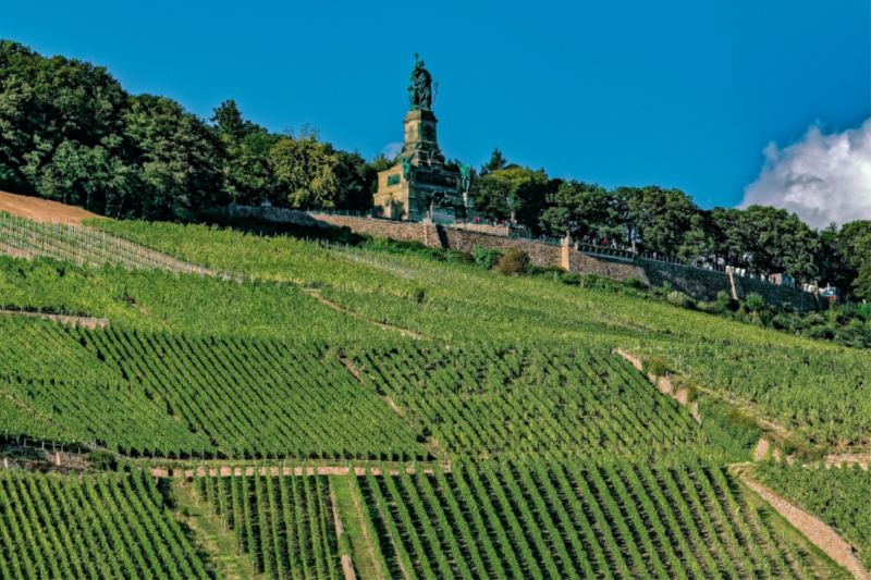 Niederwaldenkmal - Rüdesheim am Rhein