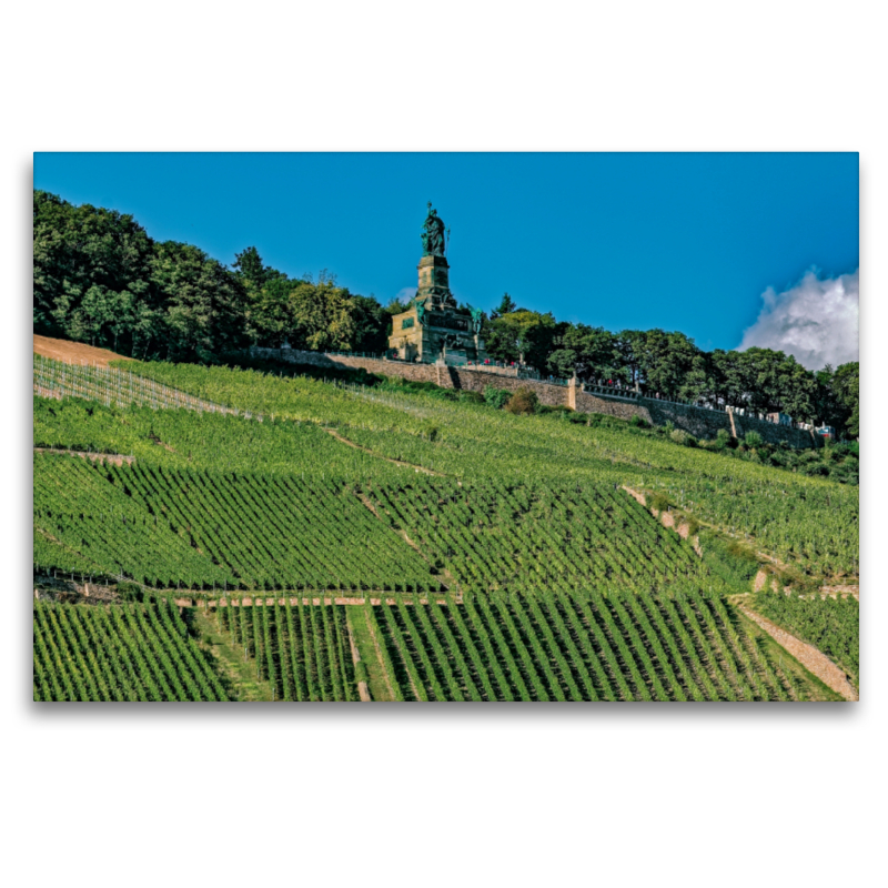 Niederwaldenkmal - Rüdesheim am Rhein