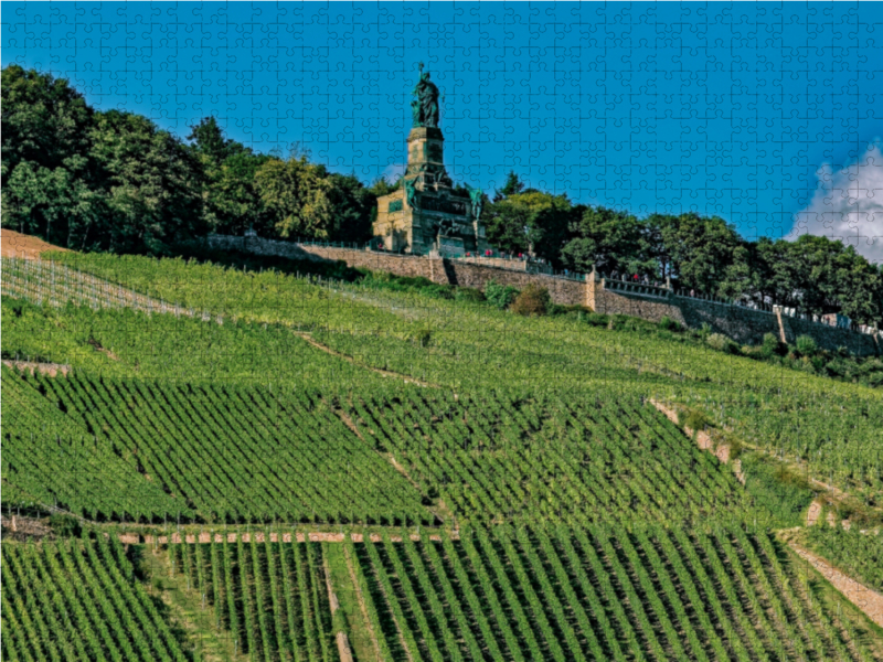 Niederwaldenkmal - Rüdesheim am Rhein