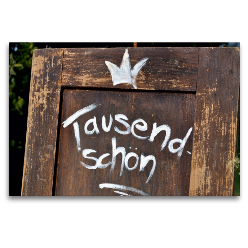 Tausendschön