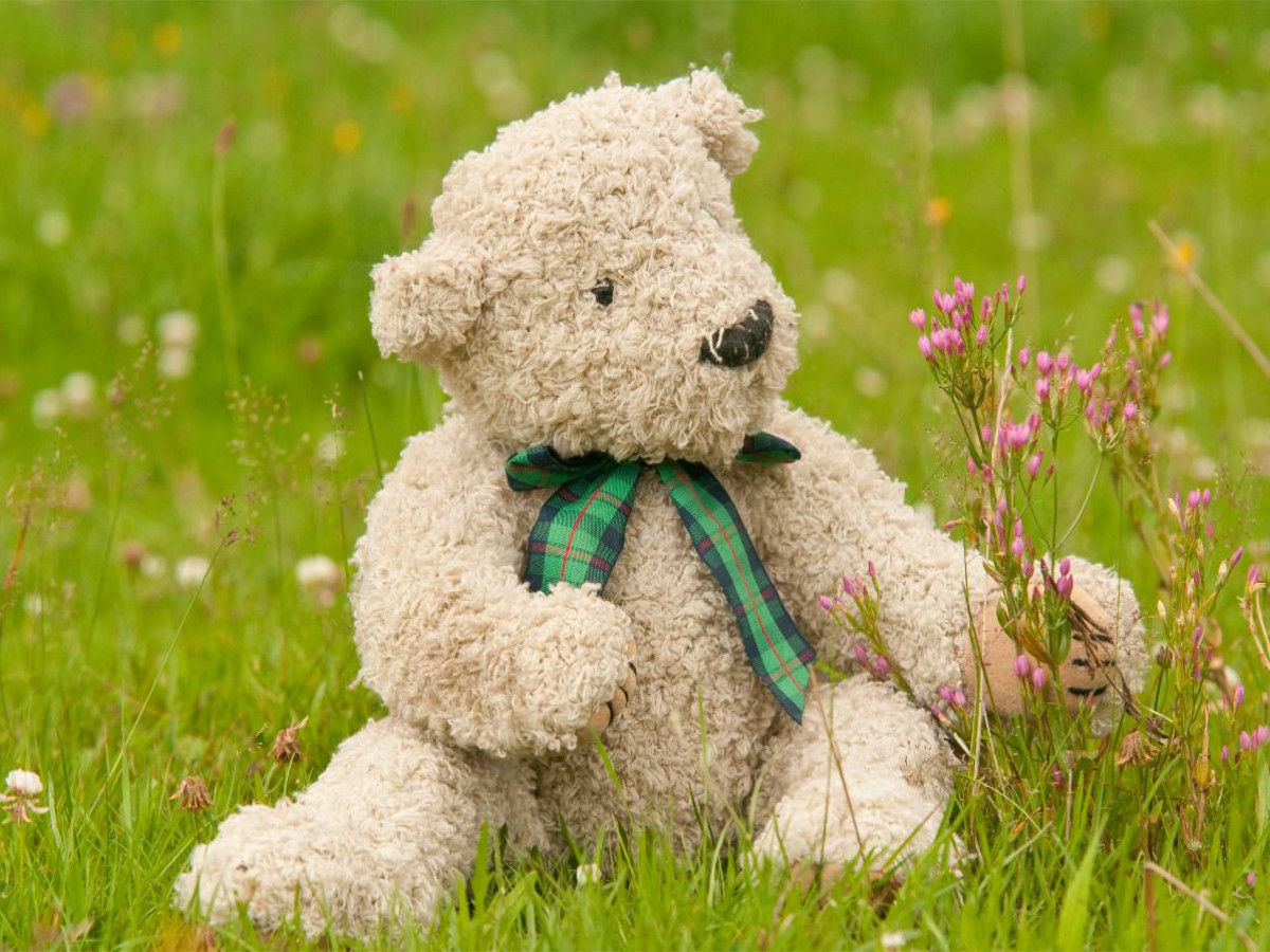 Ein Motiv aus dem Kalender Geliebte Bären - Teddys