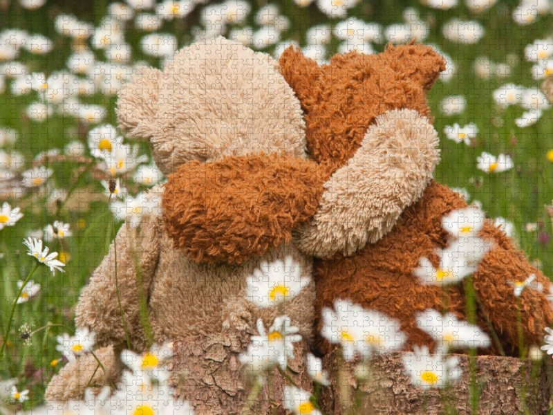 Kuschelbär