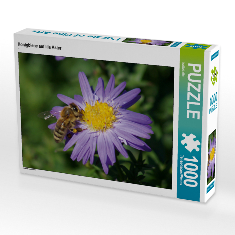 Honigbiene auf lila Aster